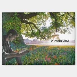 Íman Um novo ímã mundial