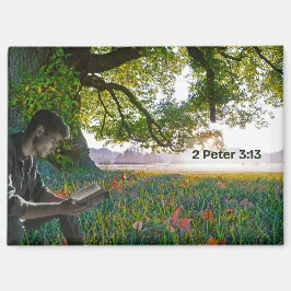 Íman Um novo ímã mundial