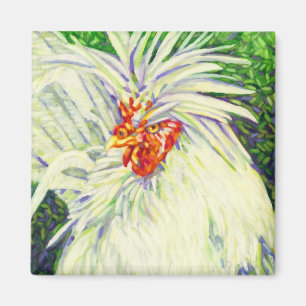 Íman Um olhar da galinha - galinha