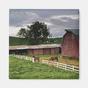 Íman Um passeio através do país da fazenda de Palouse