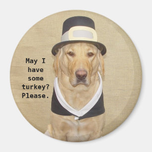 Íman Um peregrino abençoado