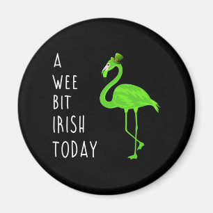 Íman Um Pouco De Irlandês Hoje Ruas. Dia da Patty Fla