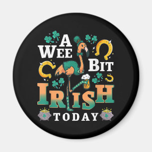 Íman Um Pouco De Irlandês Hoje Ruas. Dia De Patrick F