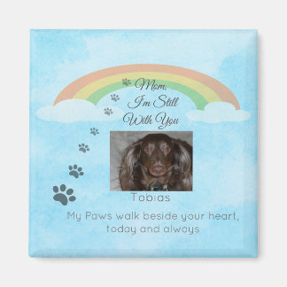 Íman Um Pouco de Luz Além da Chuva de Cor (or alternati