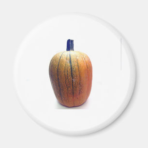 Íman Um Pumpkin Laranja