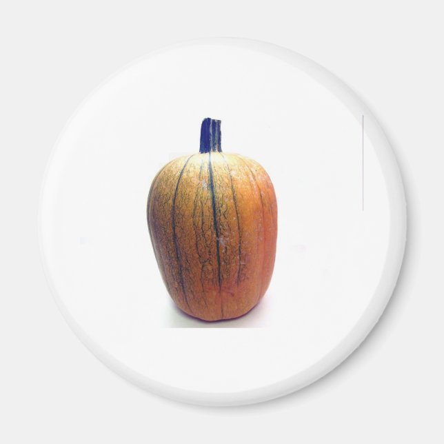 Íman Um Pumpkin Laranja (Frente)