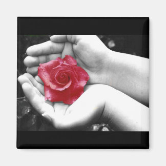 Íman Um Rosa na Mão 2