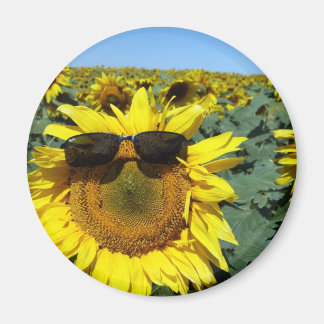 Íman Um rosto na multidão