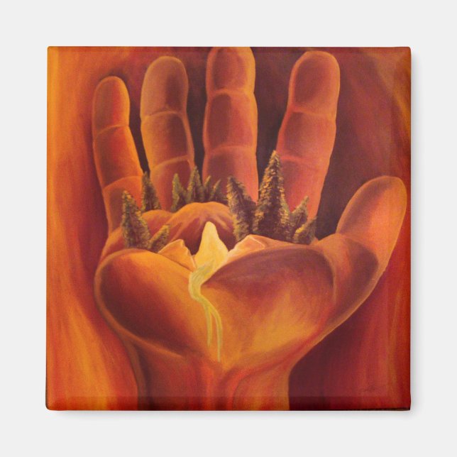 Íman Um Saldo Delicado (Frente)