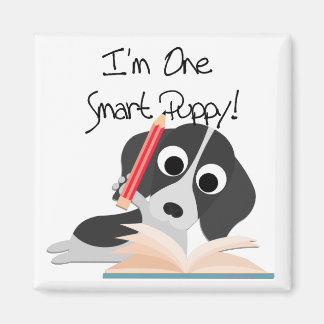 Íman Um Smart Puppy
