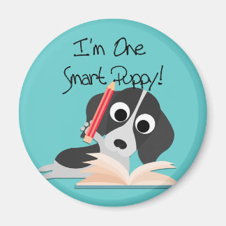 Íman Um Smart Puppy