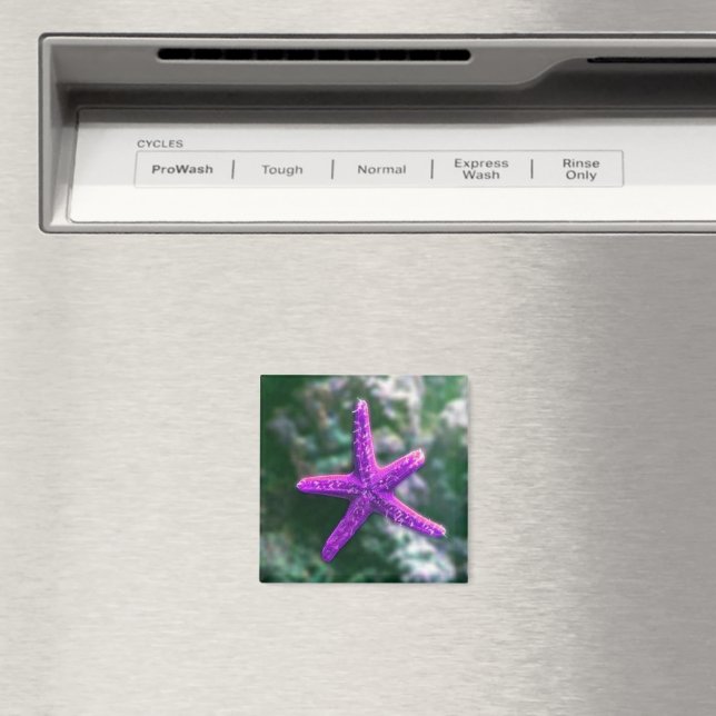 Íman Um Starfish Rocky Beach roxo (In Situ (Dishwasher))