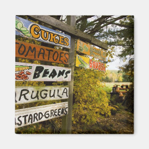 Íman Um suporte da fazenda em Holderness, New