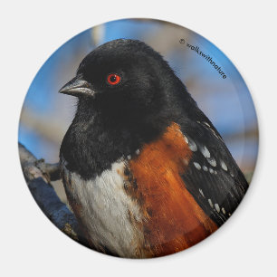 Íman Um toque em uma árvore