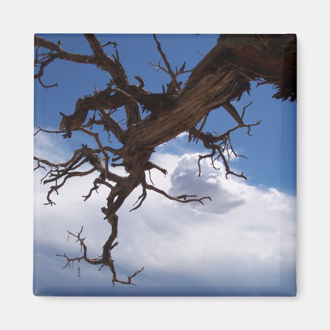 Íman Um verdadeiro Cliffhanger Magnet (Frente)