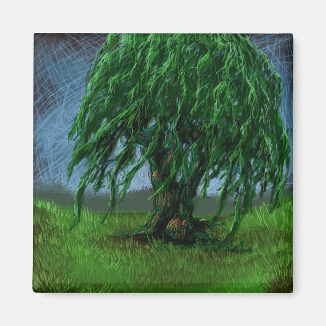 Íman Um Willow em um Vale (Frente)