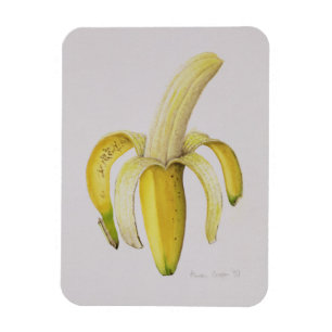 Íman Uma banana Metade-descascada 1997
