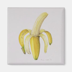 Íman Uma banana Metade-descascada 1997