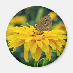 Íman Uma borboleta num ímã de flores amarelas