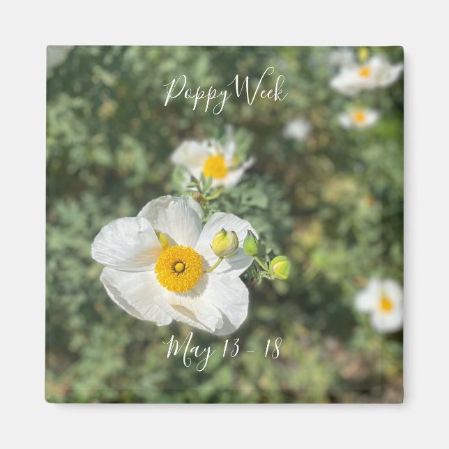 Íman Uma Califórnia florescente: Semana da Poppy (Frente)