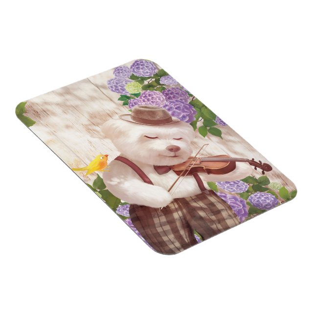 Íman Uma canção para você (Lado Direito)