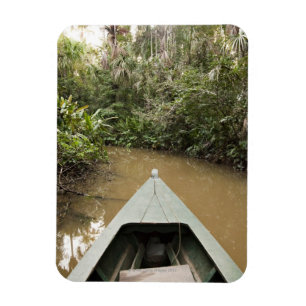 Íman Uma canoa de madeira feita da árvore de Eucylptus