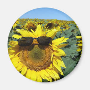 Íman Uma cara na multidão