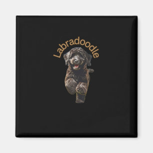 Íman Uma Casa Não É Um Lar Sem Um Pau De Labradoodle
