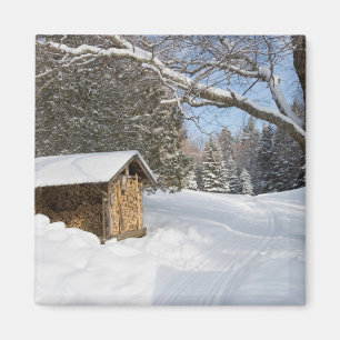 Íman Uma cena de neve no pequeno Lyford Pond da AMC