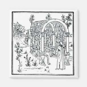 Íman Uma cena do jardim, de "Hypnerotomachia Poliphili"