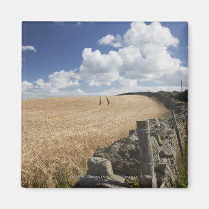 Íman Uma cerca do arame farpado construída ao longo de