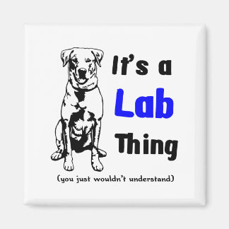 Íman Uma Coisa Labrador
