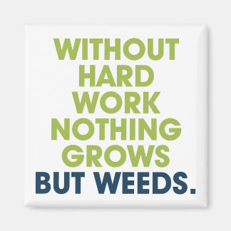 Íman Uma Cotação sobre o Magnet