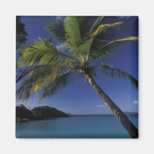 Íman Uma das melhores praias do mundo; Trunk Bay em