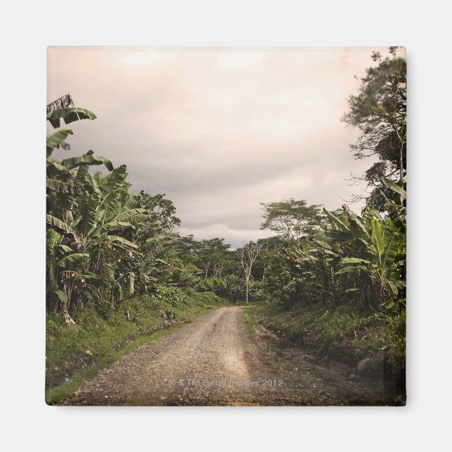 Íman Uma estrada remota da selva (Frente)