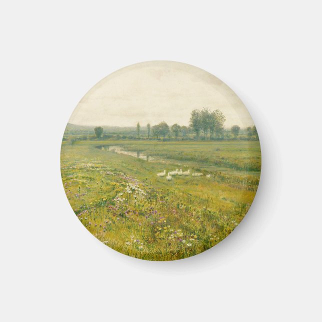 Íman Uma extensa paisagem de prado com gansos (Frente)