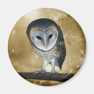 Íman Uma fantasia pequena bonito da coruja de celeiro