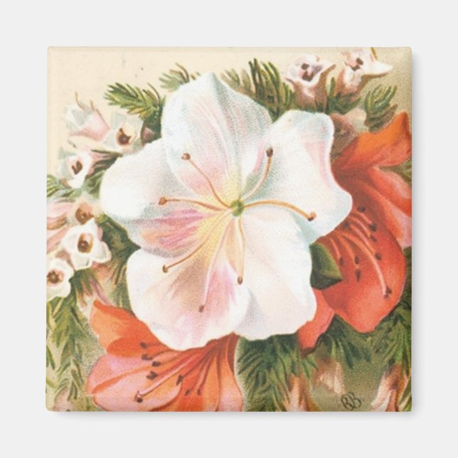 Íman Uma Feliz Flor de Natal (Frente)