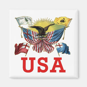Íman Uma história de bandeiras americanas em um Tshirt