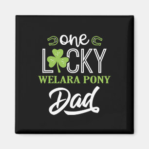 Íman Uma Lucky Welara Pony Horse Pai Irlandês Horseback
