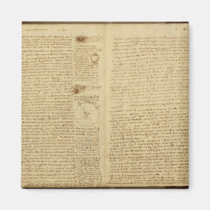 Íman Uma página do códice Leicester, 1508-12