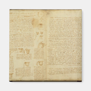 Íman Uma página do códice Leicester, 1508-12