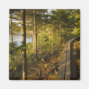 Íman Uma passarela de madeira no Parque Nacional Acadia