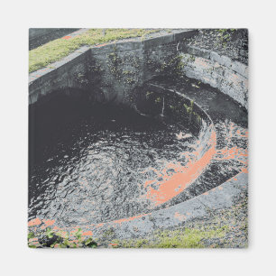 Íman Uma Piscina de laranja em Welshpool