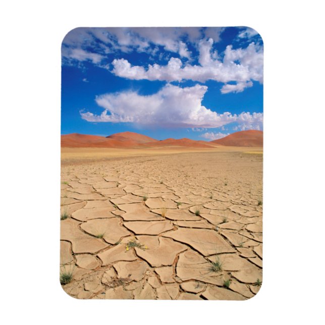 Íman Uma planície desértica rachada (Vertical)