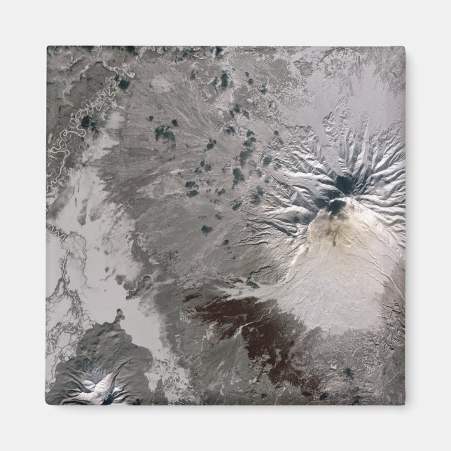 Íman Uma pluma rica em cinzas sobe (Frente)