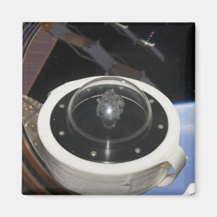 Íman Uma rocha de lua 3