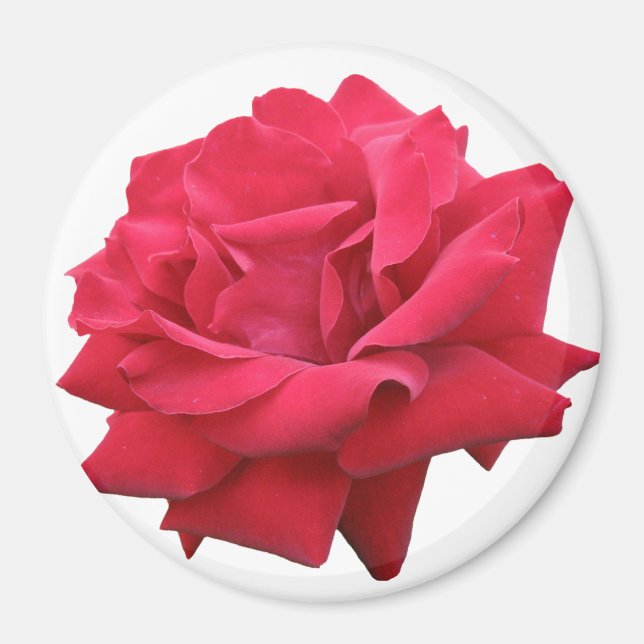 Íman Uma Rosa vermelha clássica (Frente)