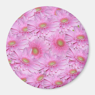Íman Uma Sinfonia de Gerberas Rosa,