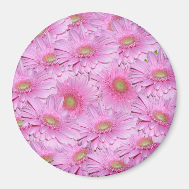 Íman Uma Sinfonia de Gerberas Rosa, (Frente)